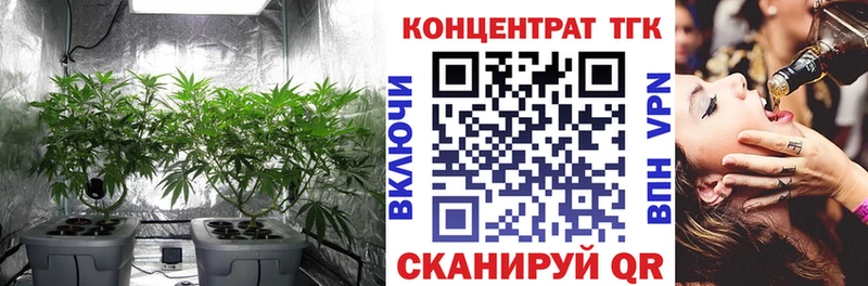 МЕГА   Торопец  ТГК Wax  купить  