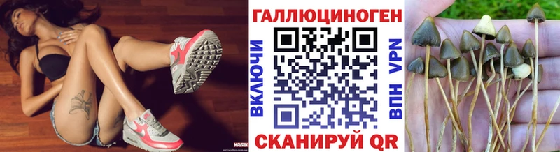 Галлюциногенные грибы GOLDEN TEACHER где продают Торопец